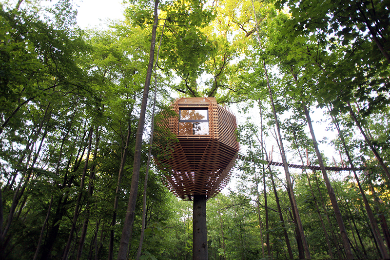 Nine incredible treehouses around the world 