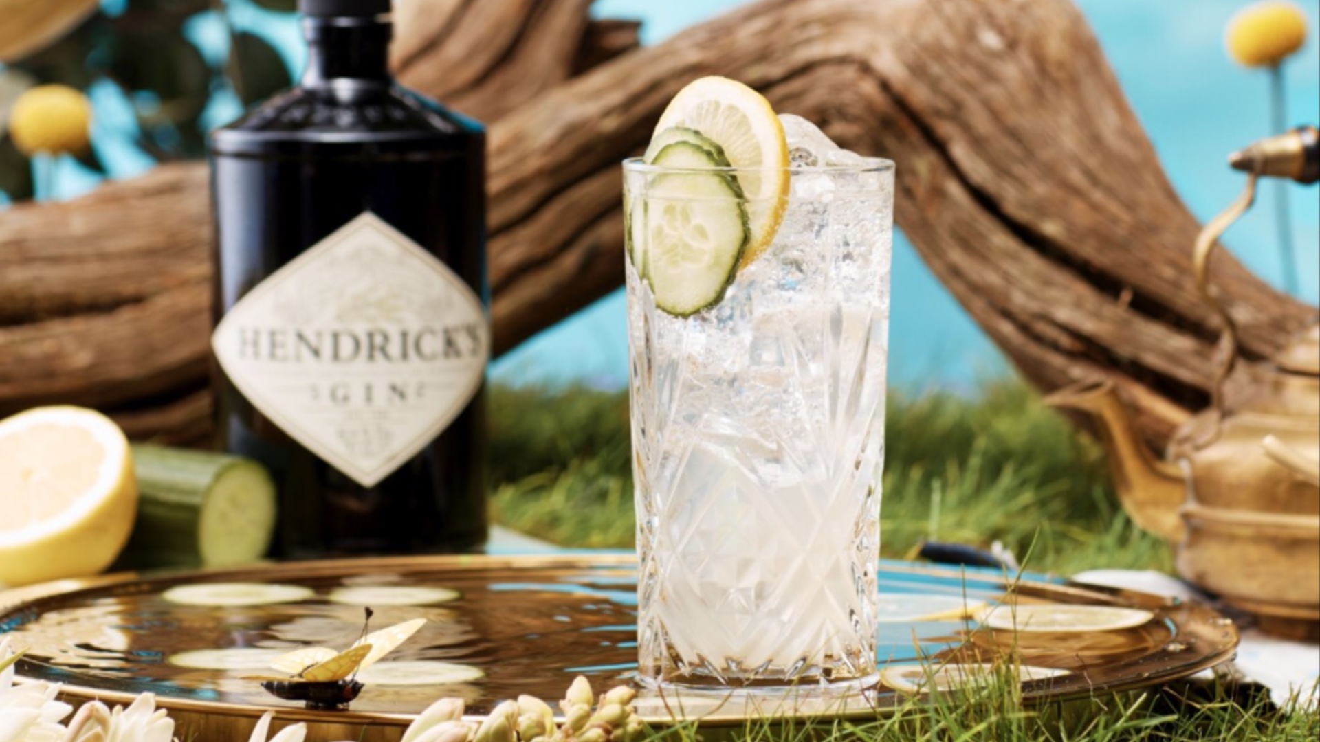 Just the tonic! The best gins to buy this summer