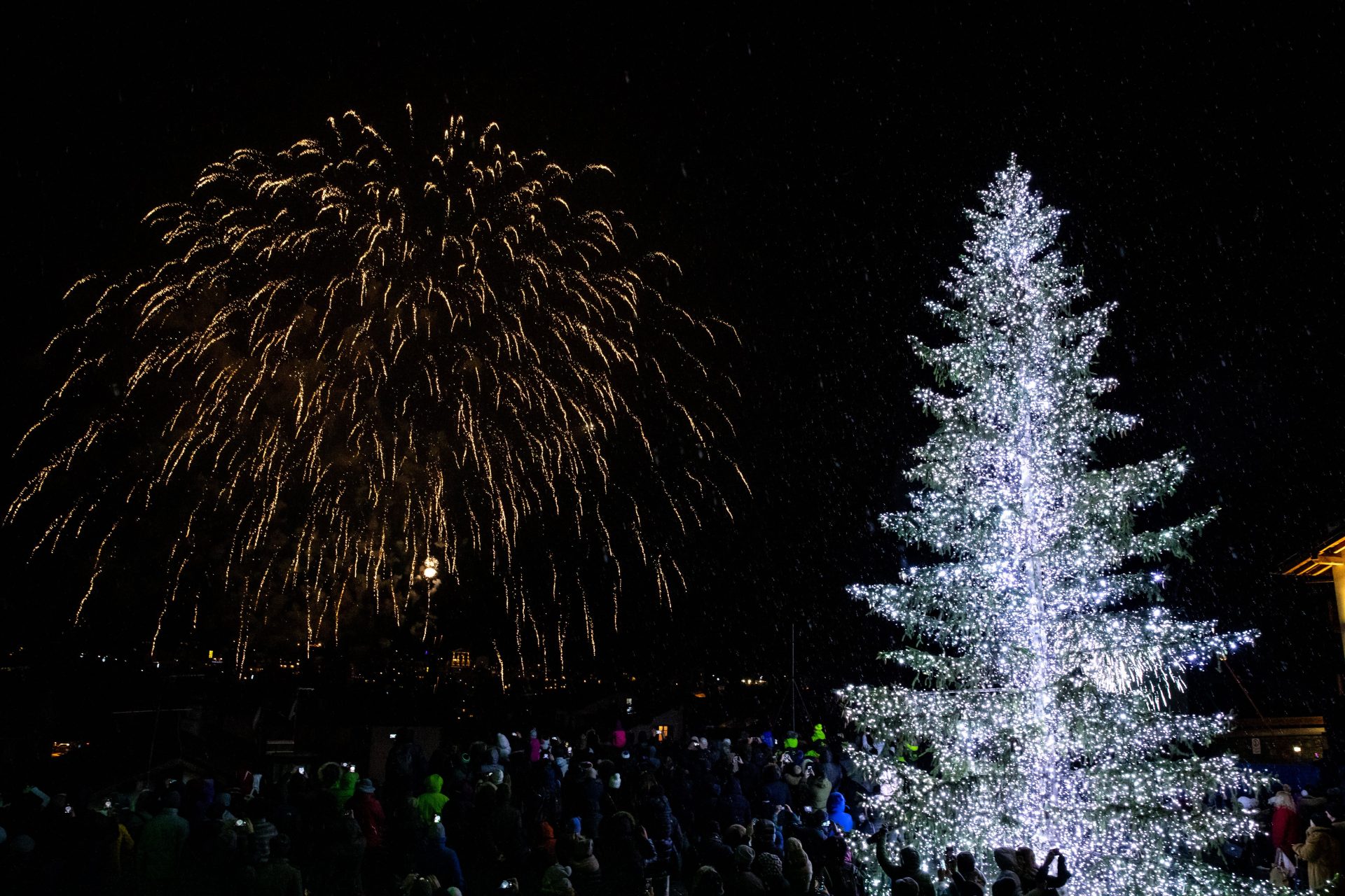 Fireworks and light up tree